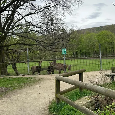 Penthouse ,,kleine Auszeit