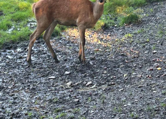 Penthouse ,,kleine Auszeit