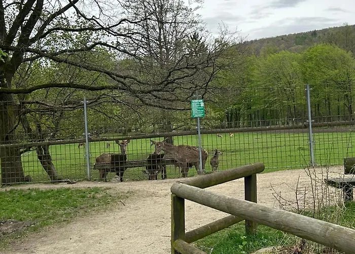 Penthouse ,,kleine Auszeit